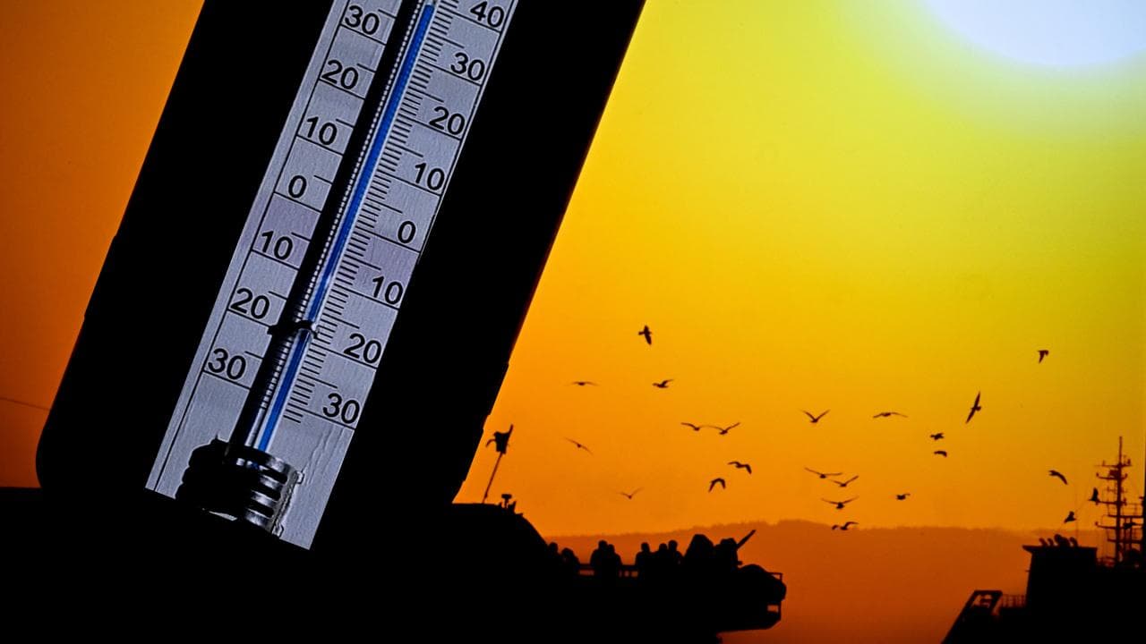 Belçika'da ülke geneli sıcak hava alarmı verildi