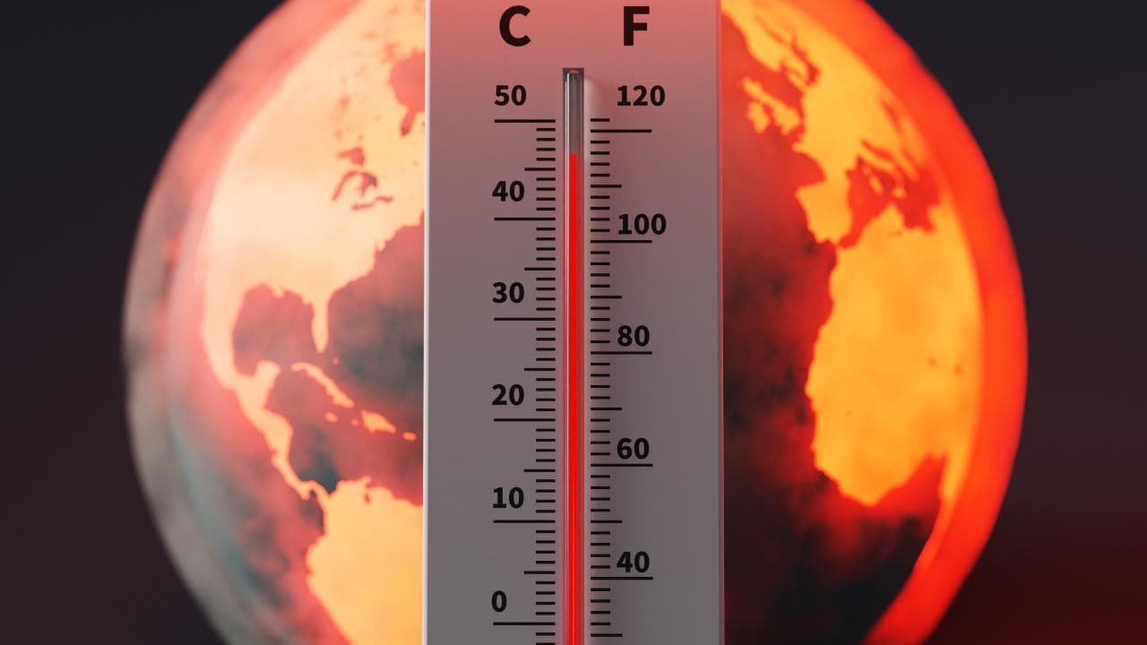 El Nino önümüzdeki yılın sonuna kadar 50 milyon kişiyi akut açlığa sürükleyebilir